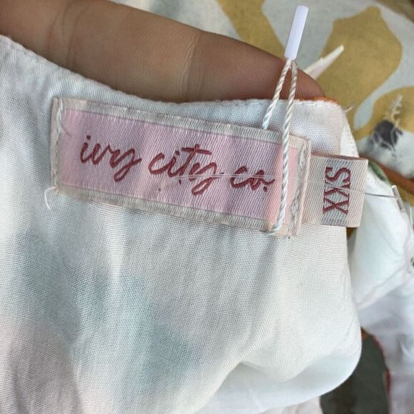 NWT Ivy City Co. Phoebe Sun Dress Women’s XXS Fruit Pattern Ruffled - Picture 8 of 8